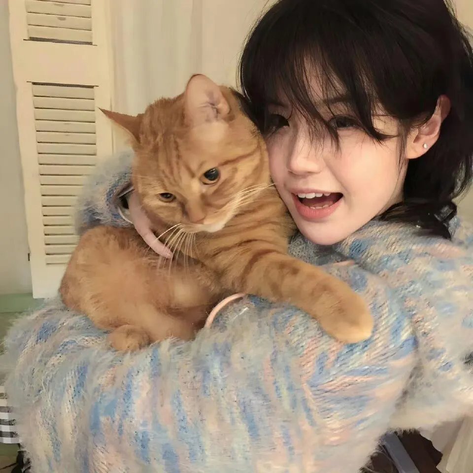 回到古代当老板