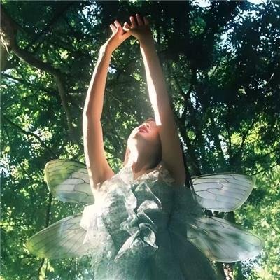 云小姐收手吧，江总知错了